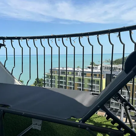 Mango 801 希欧福克