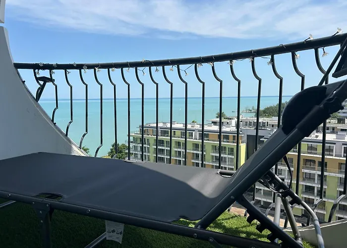 Mango 801 シオーフォク